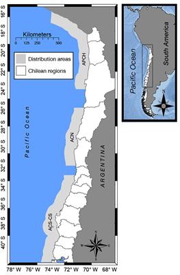 Endogenous, Climate, and Fishing Influences on the Population Dynamics of Small Pelagic Fish in the Southern Humboldt Current Ecosystem